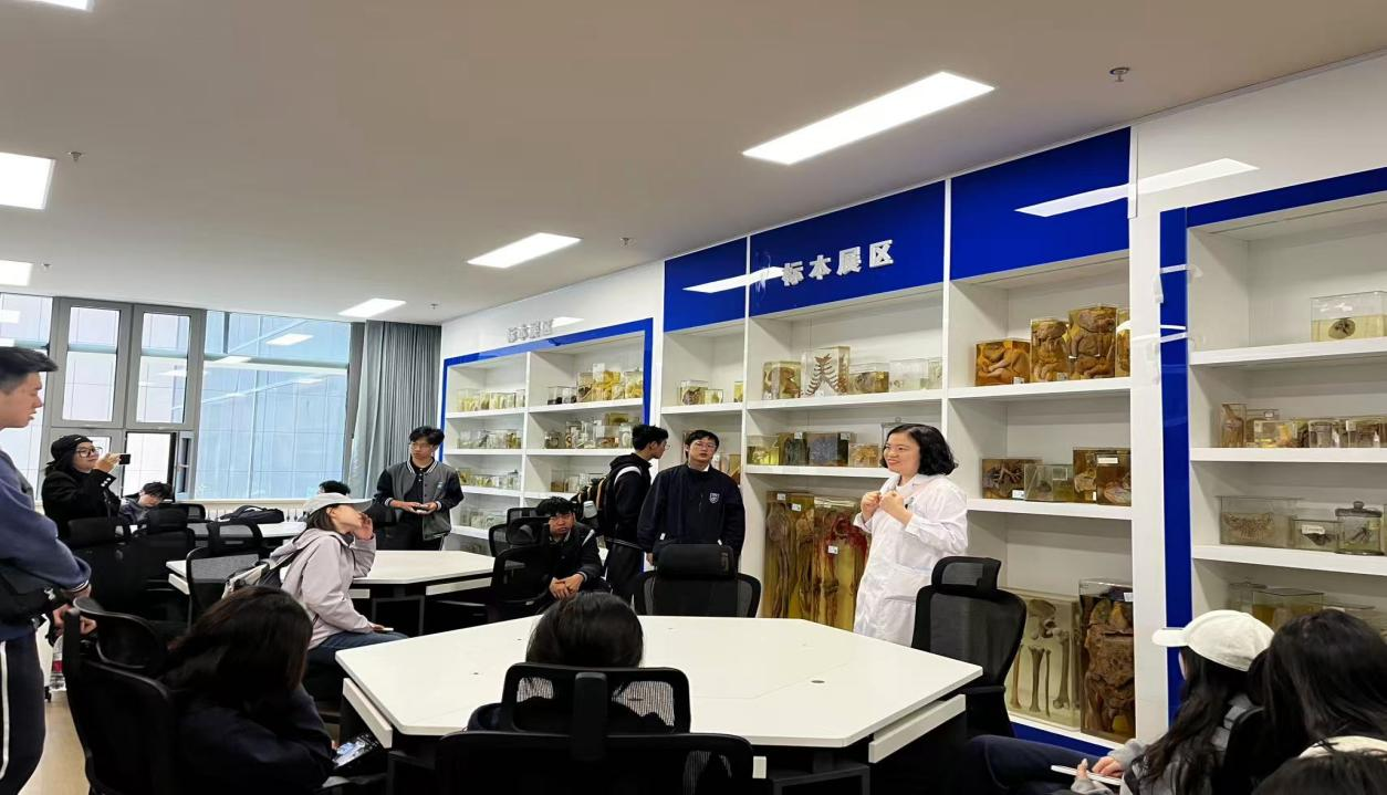 图片7.png 图片7.png